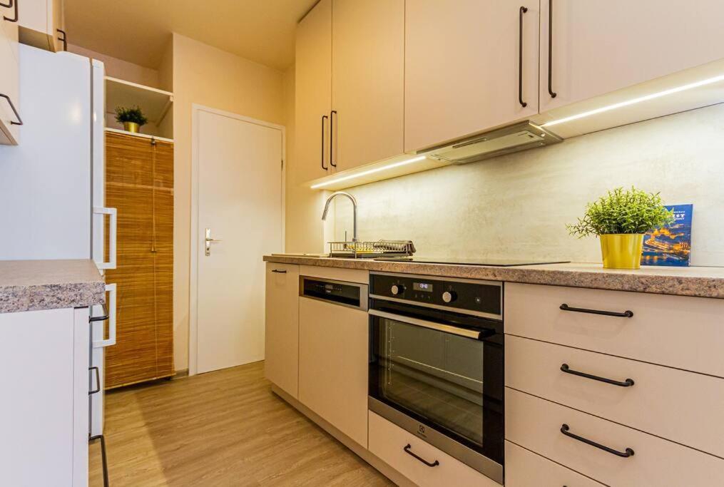 Roomy Apartment 80Sqm At City Center Free Parking Space, Ac & Balcony Budapest Esterno foto